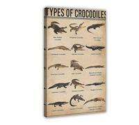 Espèce de crocodile, cadeau de Saint-Valentin, affiche de connaissances rétro, éducation artistique, décoration murale, toile 30 x 45 cm