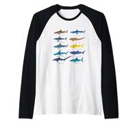 Espèce de Requin Blanc, Marteau, Tigre, prédateur océanique Manche Raglan