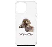 Espèces animales menacées d'extinction Mouton d'Amérique du désert Coque pour iPhone 12 Pro Max