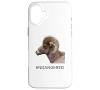 Espèces animales menacées d'extinction Mouton d'Amérique du désert Coque pour iPhone 16 Plus