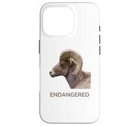 Espèces animales menacées d'extinction Mouton d'Amérique du désert Coque pour iPhone 16 Pro