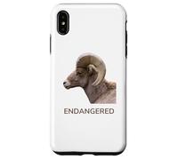Espèces animales menacées d'extinction Mouton d'Amérique du désert Coque pour iPhone XS Max