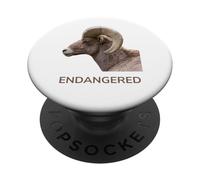 Espèces animales menacées d'extinction Mouton d'Amérique du désert PopSockets PopGrip Adhésif