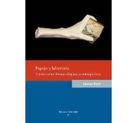 Espejo Y Laberinto. Estudios Sobre Literatura Hispánica Cont