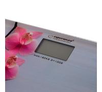 Esperanza - ebs010 Bathroom Scales - Orchid