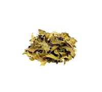 Espinheira Santa em Planta - 50g