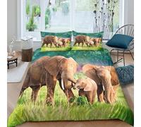 ESPLJQRYX Famille d'éléphants Parure de Lit Microfibre 3 pièces Imprimé en 3D Hypoallergique Wildlife Nature scène Linge de Lit avec Fermeture Éclair Douce for Garçon Double（200x200cm）