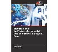 Esplorazione dell'intercalazione del litio in FeNbO₄ a doppia fase