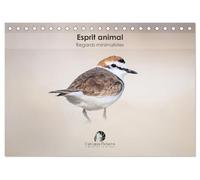 Esprit animal - Regards minimalistes (Calendrier de bureau 2026 DIN A5 vertical), CALVENDO calendrier mensuel: Un calendrier raffiné qui capture, mois ... travers des portraits minimalistes et épurés.