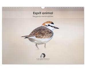 Esprit animal - Regards minimalistes (Calendrier mural 2027 DIN A3 vertical), CALVENDO calendrier mensuel: Un calendrier raffiné qui capture, mois ... travers des portraits minimalistes et épurés.