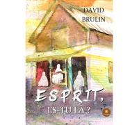 Esprit, es-tu là ? - David Brulin - Le Lys Bleu - broché - Essai
