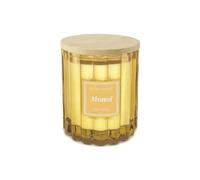 esprit provence - bougie senteur monoi 50h