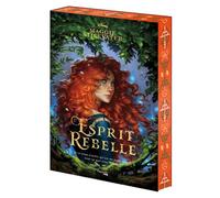 Esprit rebelle - Maggie Stiefvater - Hachette Heroes - broché - Roman adolescent