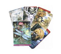 (Esprits de l'Anima) Vice Versa Tarot Jeu de société Jouets Oracle Divination Prophète Prophétie Carte