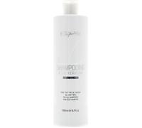 Esquisse - Shampooing à la Kératine Sans Sulfate - 500ml