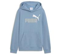 ESS 2 Color No. 1 Logo Hoodie FL B