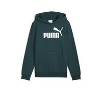 Puma Ess Nº 1 Logo Hoodie Vert 9-10 Years Enfants