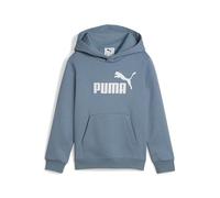 ESS No. 1 Logo Hoodie FL PS
