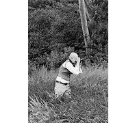 Essais choisis sur l'art et la littérature, 1966-2005
