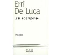 Essais de réponse Erri De Luca (Auteur), Danièle Valin (Traduction)