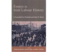 Essays In Irish Labour History