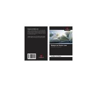 Essays On Public Law