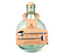 Esschert Design 5 Litre Plantes Terrarium Démarreur Set Verre Maison Fleurs