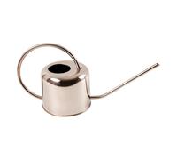 Esschert Design Arrosoir 1 Litre Fleurs Eau Métal Acier Inoxydable Argent