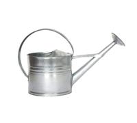 Esschert Design Arrosoir en Zinc Gris Taille M