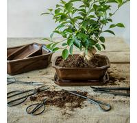Esschert Design Ciseaux à Bonsaï - L
