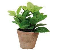 Esschert Design de ah003 Artificielle Petit Pot en Terre Cuite - Vieilli/Menthe/Vert