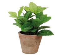 Esschert Design de ah003 Artificielle Petit Pot en Terre Cuite - Vieilli/Menthe/Vert
