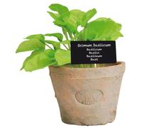 Esschert Design de ah008 Artificiel Grand Pot de Terre Cuite - Basilic