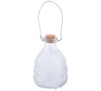 Esschert Design de eg18 - Piège à guêpes en Verre