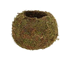 Esschert Design - Kokedama Boule de Mousse 9 cm