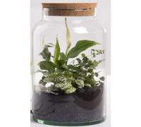 Esschert Design Terrarium Semi-Ouvert En Verre Avec Bouchon Kork 7 L
