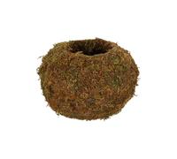 Esschert Kokedama Boule de Mousse 15 cm