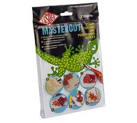 Essdee Bloc de Sculpture MasterCut 200 x 150 x 4 mm (Lot de 2 Blocs)