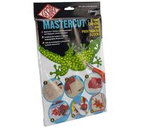 Essdee Bloc de Sculpture Mastercut 300 x 200 x4 mm (Paquet de 2 Blocs)