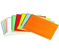 Esselte Étiquettes pour Dossier Suspendu Vertical, Lot de 10 planches de 25, Couleurs Assorties, Orgarex, 325800