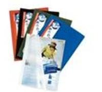 Esselte 395574050 protège documents Polypropylène (PP) Bleu G