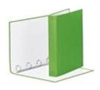 Esselte 395792940 Boîte à archives Plastique Vert Vert G