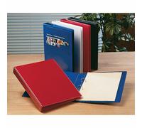 Esselte 49706 Essentials Classeur de Présentation 4 Anneau D 60mm Capacité Blanc