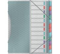 Esselte 626256 Classeur à levier ColourIce, A4, PP, 12 compartiments