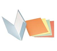 Esselte 71202 Pack de 100 Sous-dossiers pour dossiers suspendus avec rabat Rouge