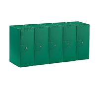 Esselte C35 EUROBOX 390335180 Lot de 5 dossiers pour le stockage, fermeture par bouton, 25 x 35 cm, dos 15 cm, vert