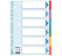 Esselte CF20 Carton 6 TCOLORS A4 Carton