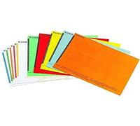 Esselte Étiquettes pour Dossier Suspendu Latéral, Lot de 10 planches de 25, Couleurs Assorties, Orgarex, 326400