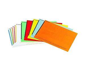 Esselte Étiquettes pour Dossier Suspendu Vertical, Lot de 10 planches de 25, Couleurs Assorties, Orgarex, 325800