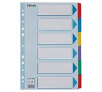 Esselte Intercalaires A4 6 Touches, Bleu/Multicolore, Carton Résistant Recyclé, 6 Onglets avec Table des Matières, 100168